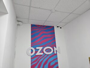 Установка в OZON IP камеры
