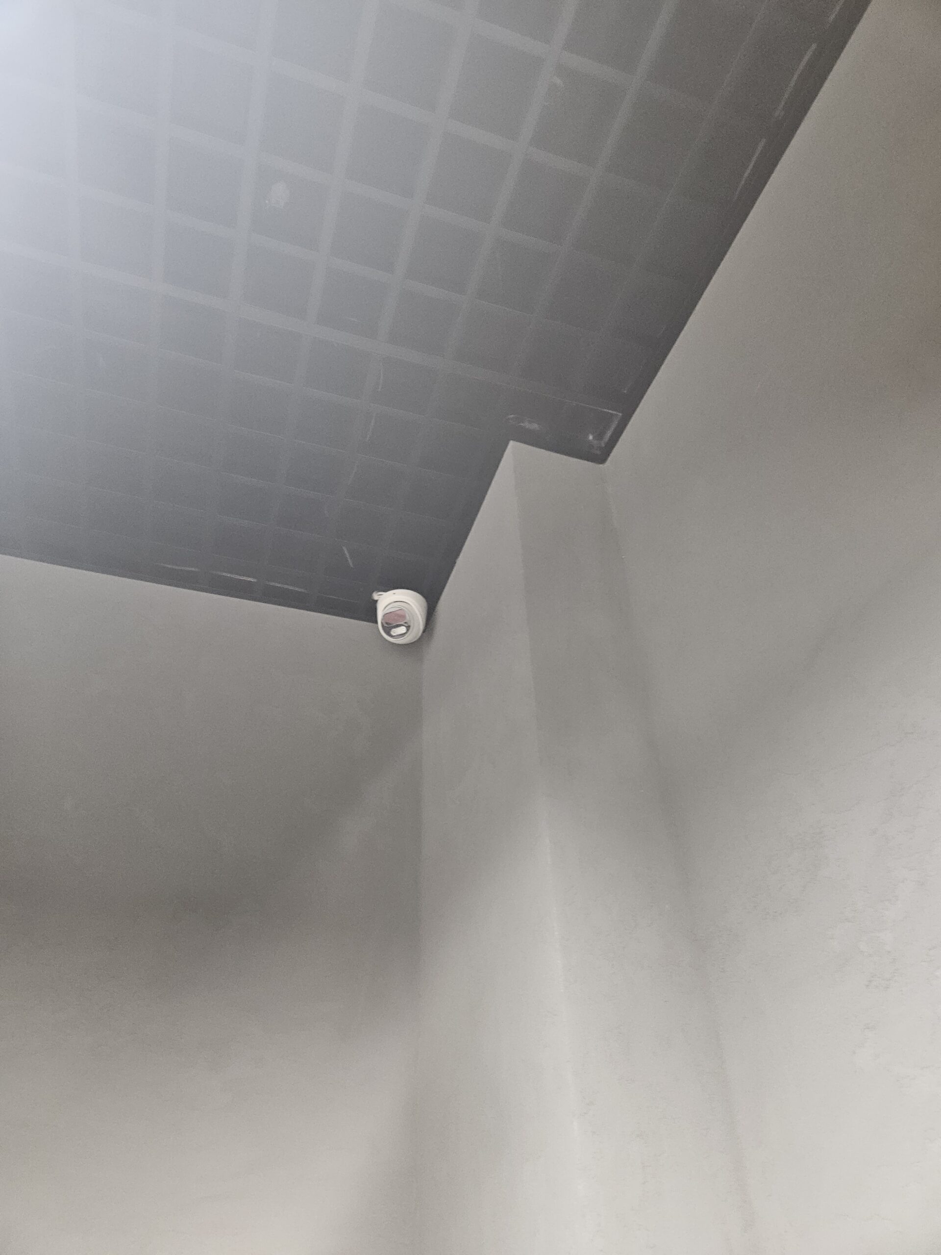 20250225_164825