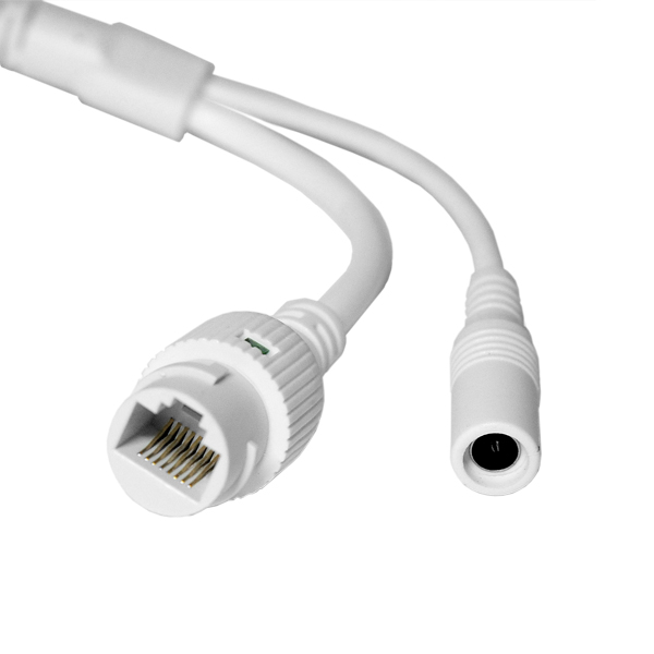 Цветная купольная IP сетевая камера с ИК подсветкой Цветная купольная IP сетевая камера с ИК подсветкой